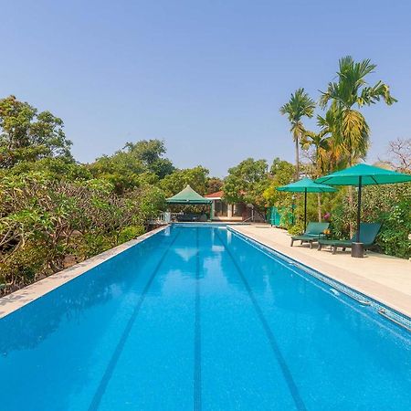 Stayvista'S Casa Palmera - Pet-Friendly Villa With Pool, Garden With Gazebo, And Indoor & Outdoor Games Alībāg Εξωτερικό φωτογραφία