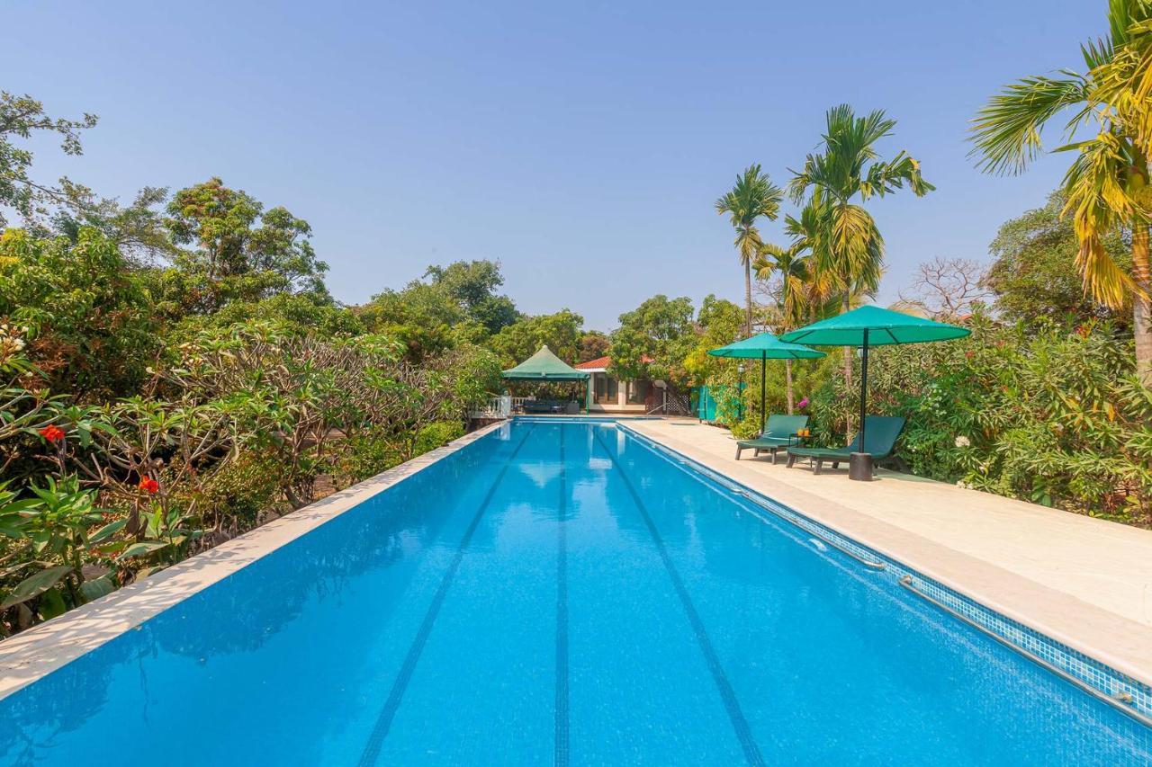 Stayvista'S Casa Palmera - Pet-Friendly Villa With Pool, Garden With Gazebo, And Indoor & Outdoor Games Alībāg Εξωτερικό φωτογραφία