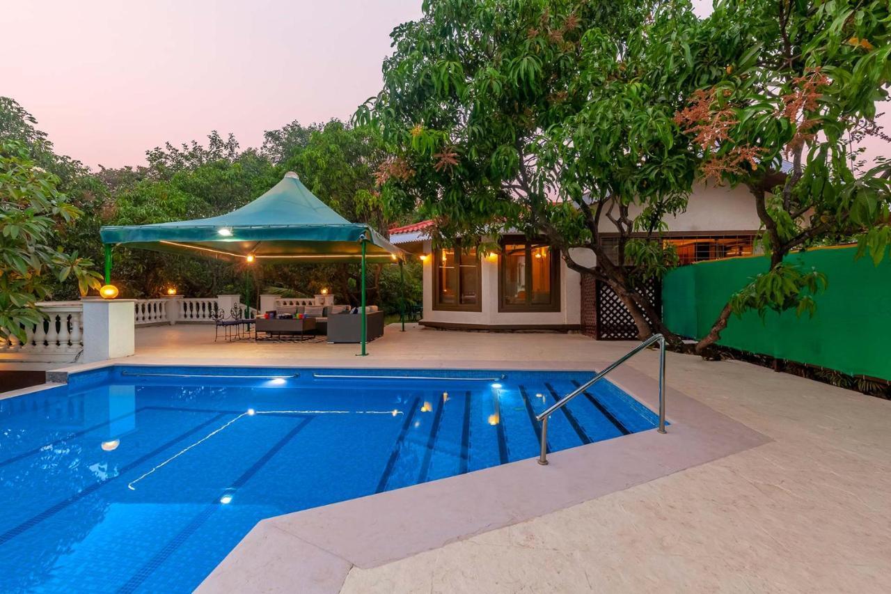 Stayvista'S Casa Palmera - Pet-Friendly Villa With Pool, Garden With Gazebo, And Indoor & Outdoor Games Alībāg Εξωτερικό φωτογραφία